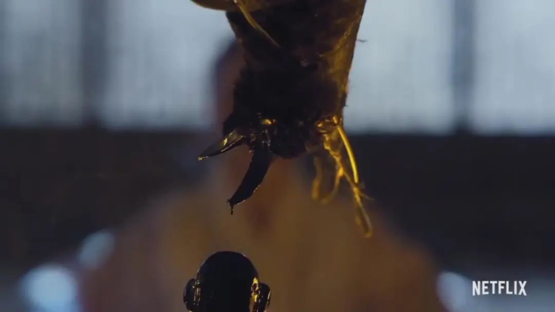 李尸朝鲜第二季封面,李尸朝鲜第二季电视剧解说