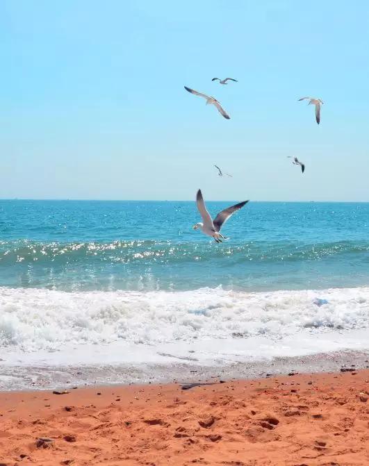 辽宁有美丽的小镇,辽宁有个小城市