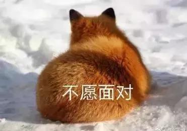 拍照时怎样做到不畏惧镜头,害怕镜头是什么症状