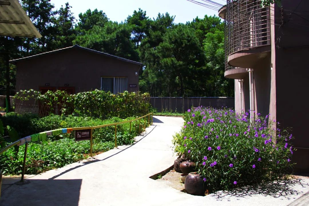 钟山水墨画廊附近旅游攻略,钟山水墨画廊自驾游