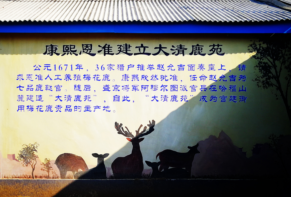 吉春制药健肝灵胶囊,吉春制药阿胶补血口服液