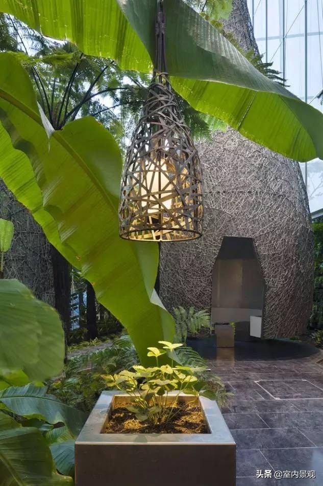 小小庭院美到极致,富有禅意的中国式庭院