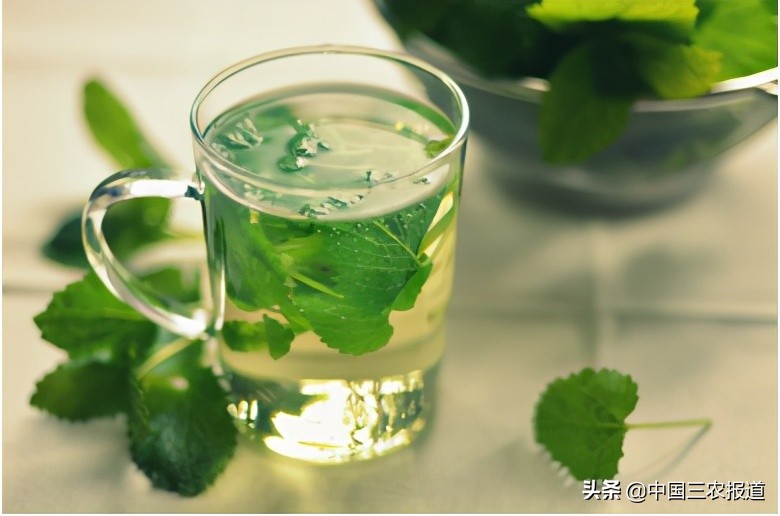 大暑节气三伏茶怎么喝最好,三伏天防暑建议您喝这款茶