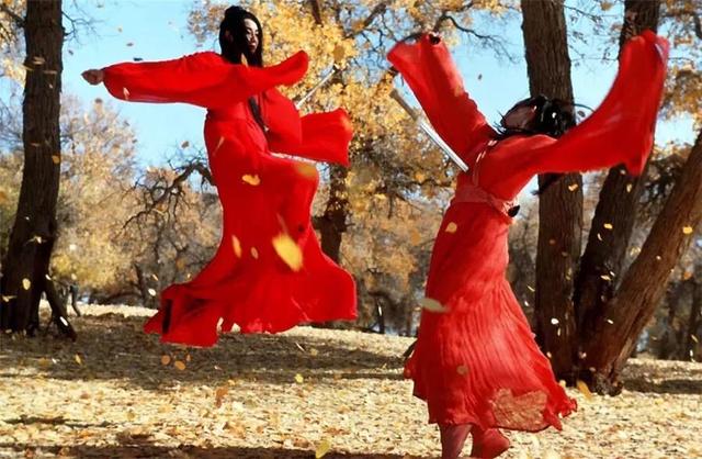 胡杨林旅游区道歉,额济纳胡杨林门票免费及优惠政策