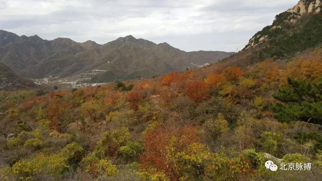 北京国家森林公园风景,画说北京故事