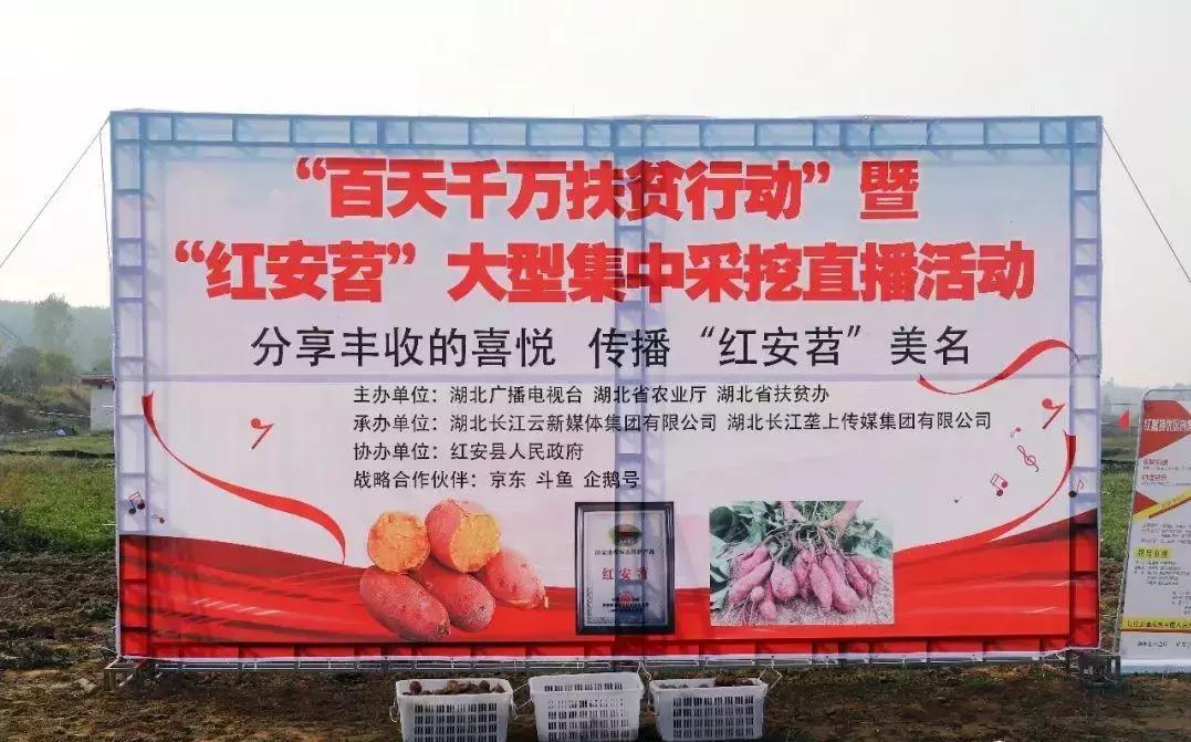 这么多大佬来到垄上频道，原来是那个差点成了雷军第二的人，终于有了大动作！