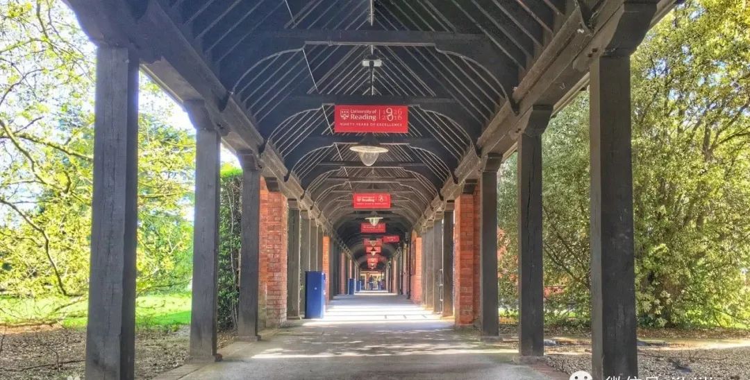 雷丁大学国际金融,全英大学