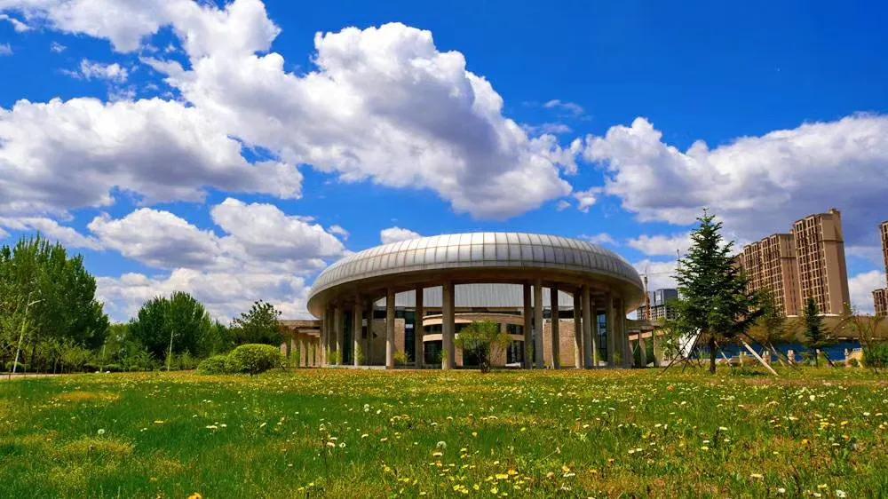 以省命名，存在感却很低，被误认为普通高校，辽宁大学实力如何？