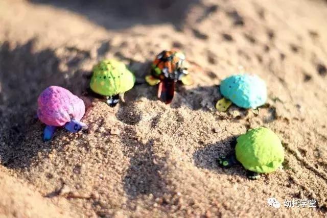 废物利用亲子手工制作坚果,创意坚果手工制作大全图片