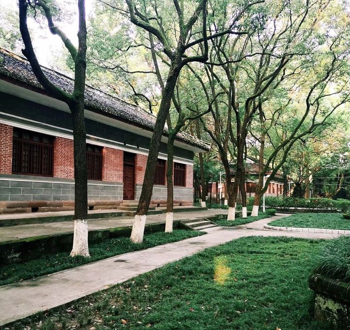 抗战期间，这所大学在外*亡流**十多年，还给四川留下了两所本科高校