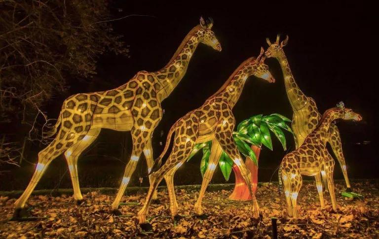 熊猫来永庆坊,鹰潭大熊猫