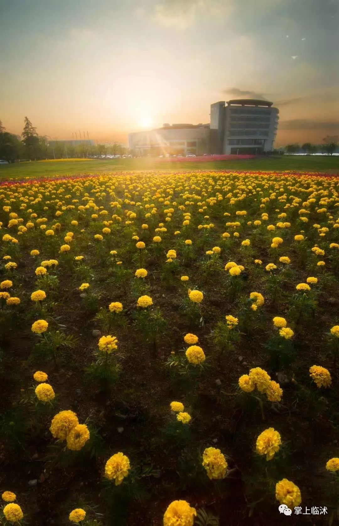 航拍最美临沭,临沭最美风景