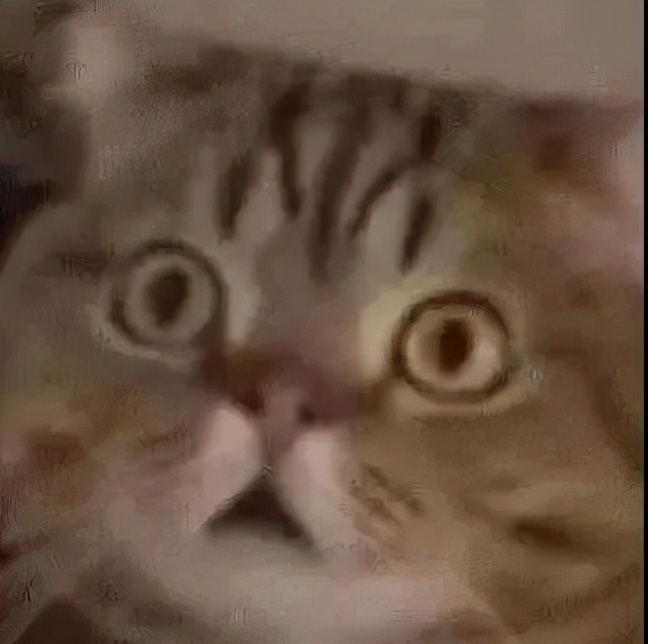 2022涓噾鏍℃嫑瑙嗛,2022涓噾鍏徃鏍℃嫑