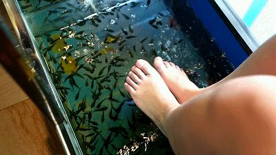 水善汇合肥9.9优惠团购,合肥水善汇优惠门票团购19.9