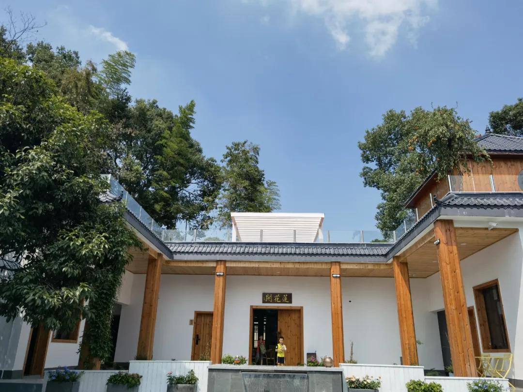 闲居莲花开,坐望神仙岭,长沙半小时可达,去过几日田园诗意时光