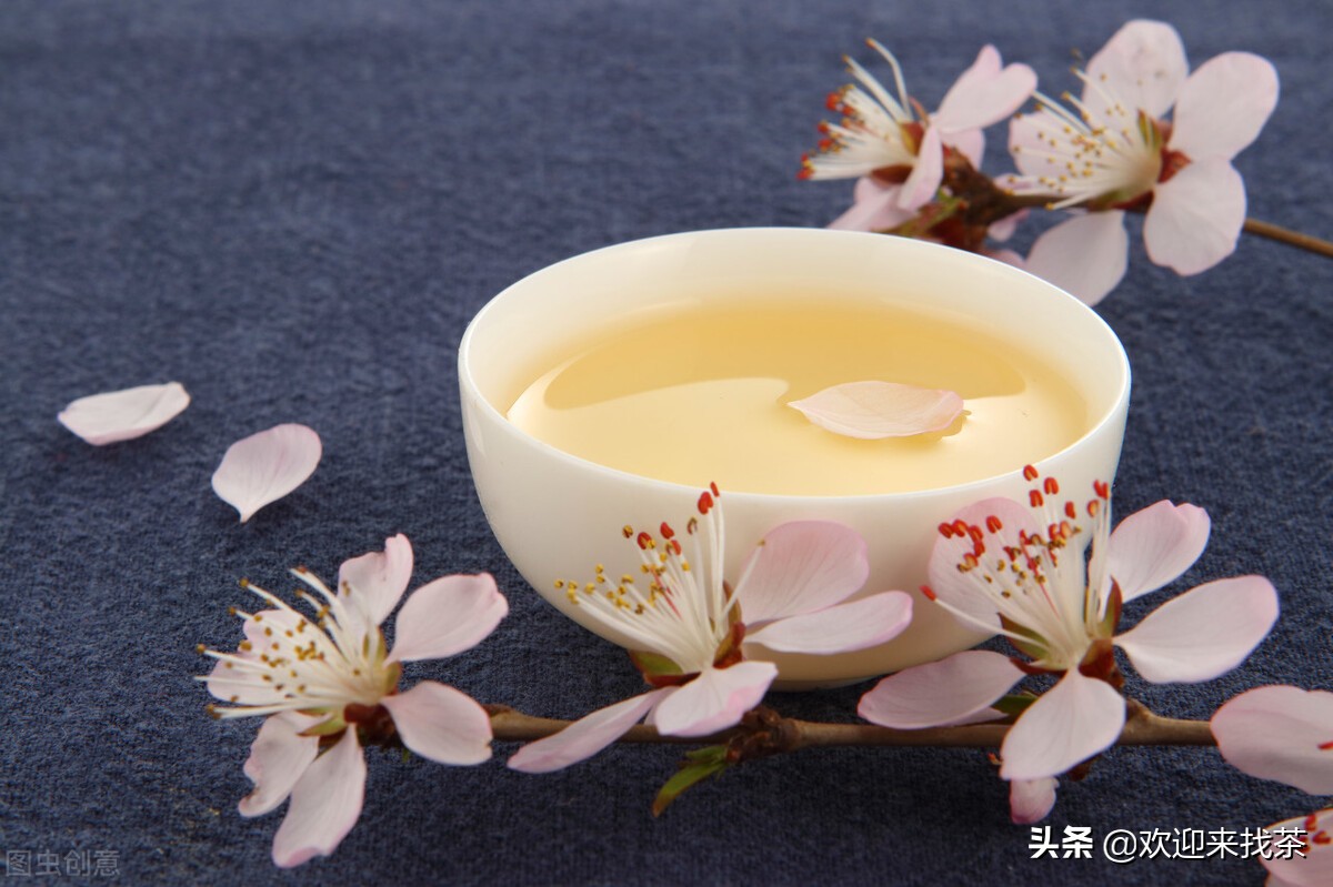 中国十大最好的茶叶品牌有哪些呢,中国知名茶叶品牌排行榜有哪些呢