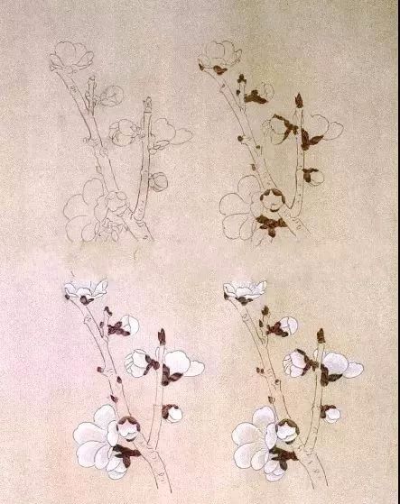 工笔梅花的分染上色教程,工笔梅花的10种设色技法收藏起来