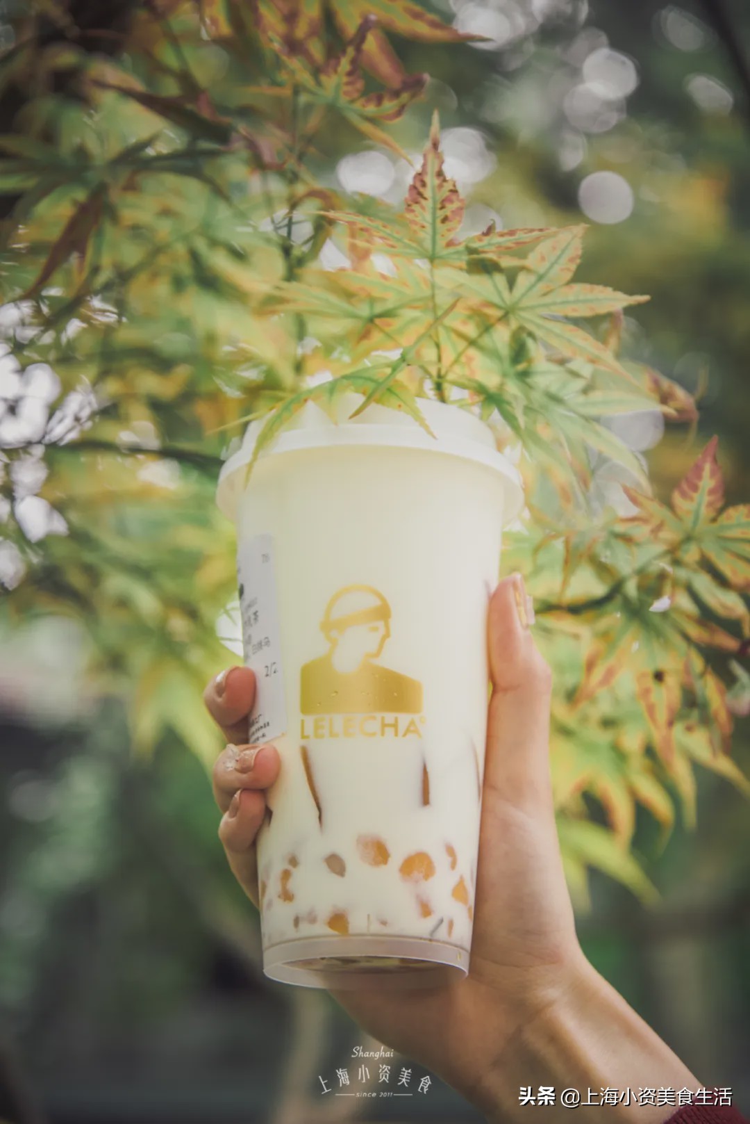 奶茶网红牛乳茶,奶茶各种网红饮品