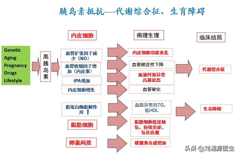 免疫不良妊娠的治疗,免疫不良妊娠要检查什么