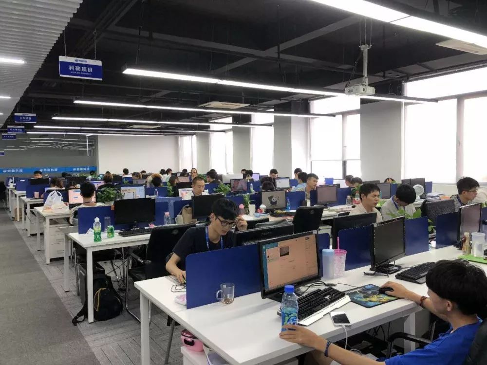 涓婃捣缃戣悓缃戠粶绉戞妧鏈夐檺鍏徃骞翠細,涓婃捣缃戣悓鐢靛瓙鍟嗗姟鏈夐檺鍏徃