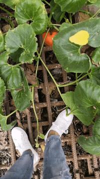 “老婆居然穿这种裤子出门，难怪大家都在看她，太丢脸了！”哈哈