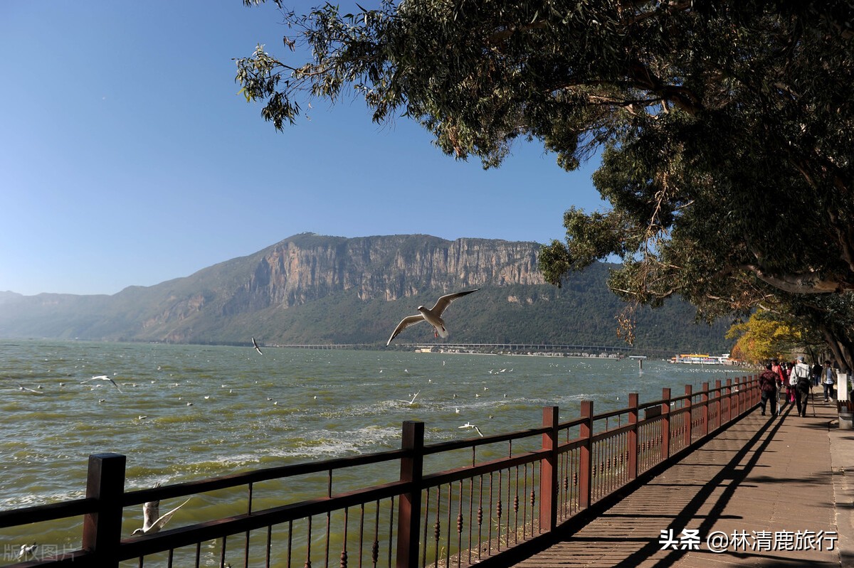 中国挑不出缺点的养老城市，交通医疗都很好，连空调都很少见