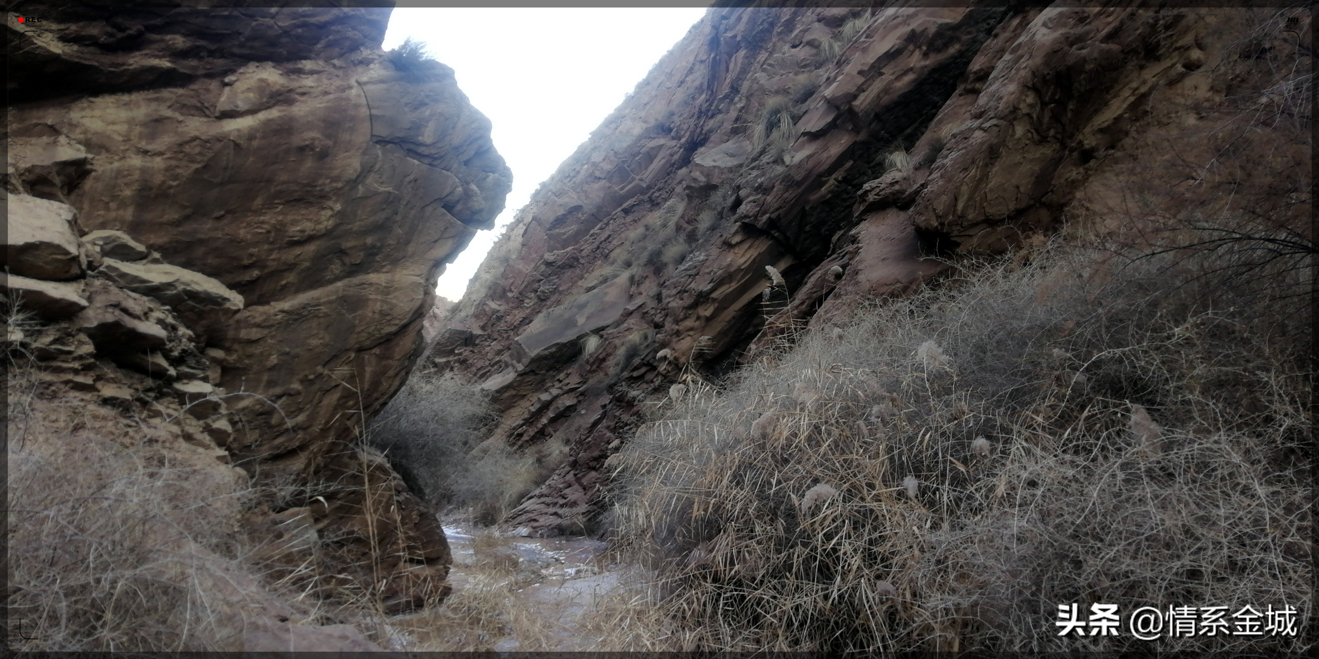 兰州冬日游最佳路线,兰州西固池沟旅游攻略
