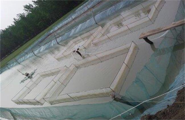 泥鳅自然养殖方法有哪些,正规泥鳅养殖方法有哪些