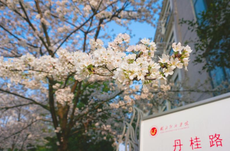 武汉十大不建议改名的大学,武汉这所大学为什么这么厉害