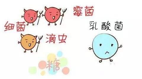 香港九价哪里正规 (香港宫颈癌疫苗9价水货)