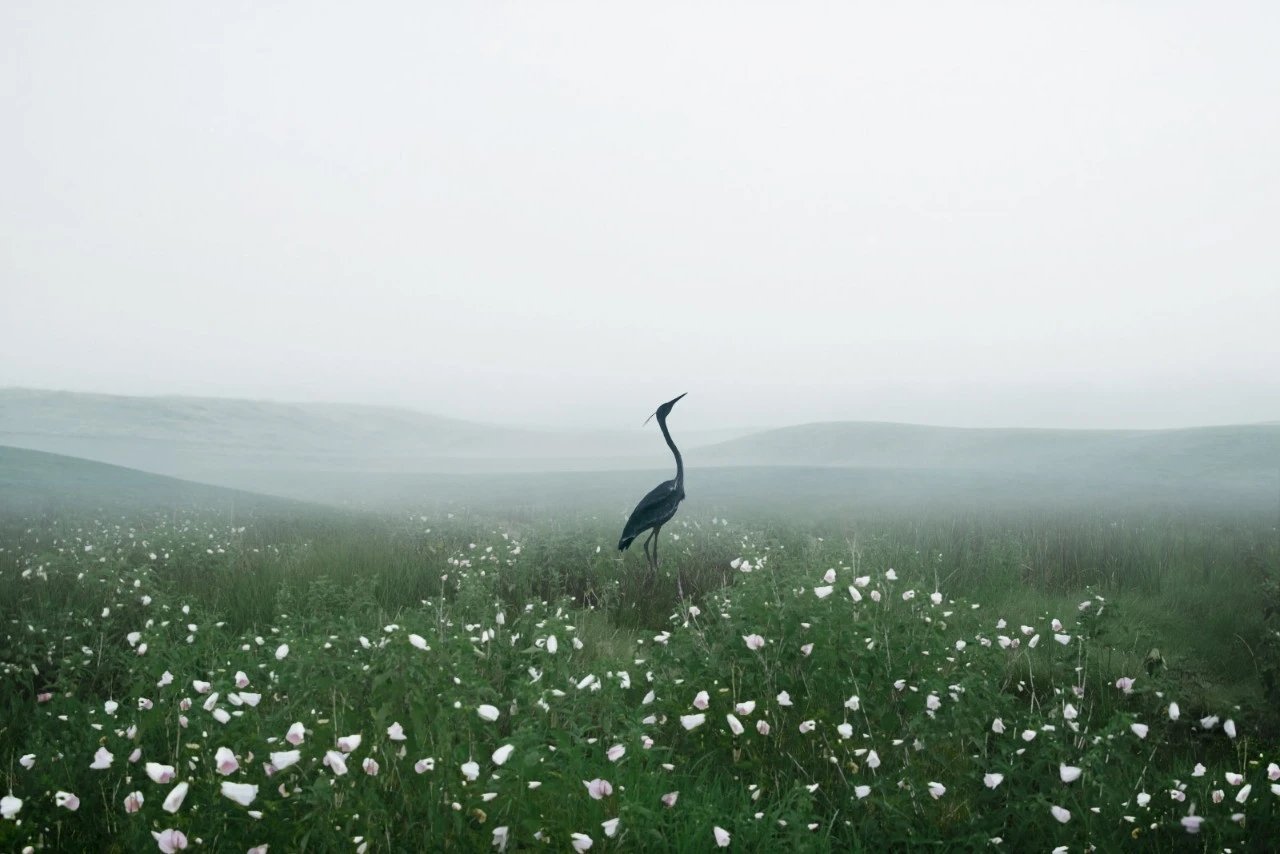 国家重大发明的作文300字,经典文学作品和优秀作文选稿