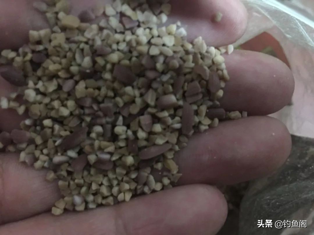 买渔具入坑视频,最吸引人的渔具宣传广告词