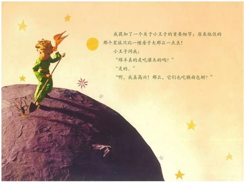 小王子告诉我们的爱情哲理,小王子关于爱情的解读