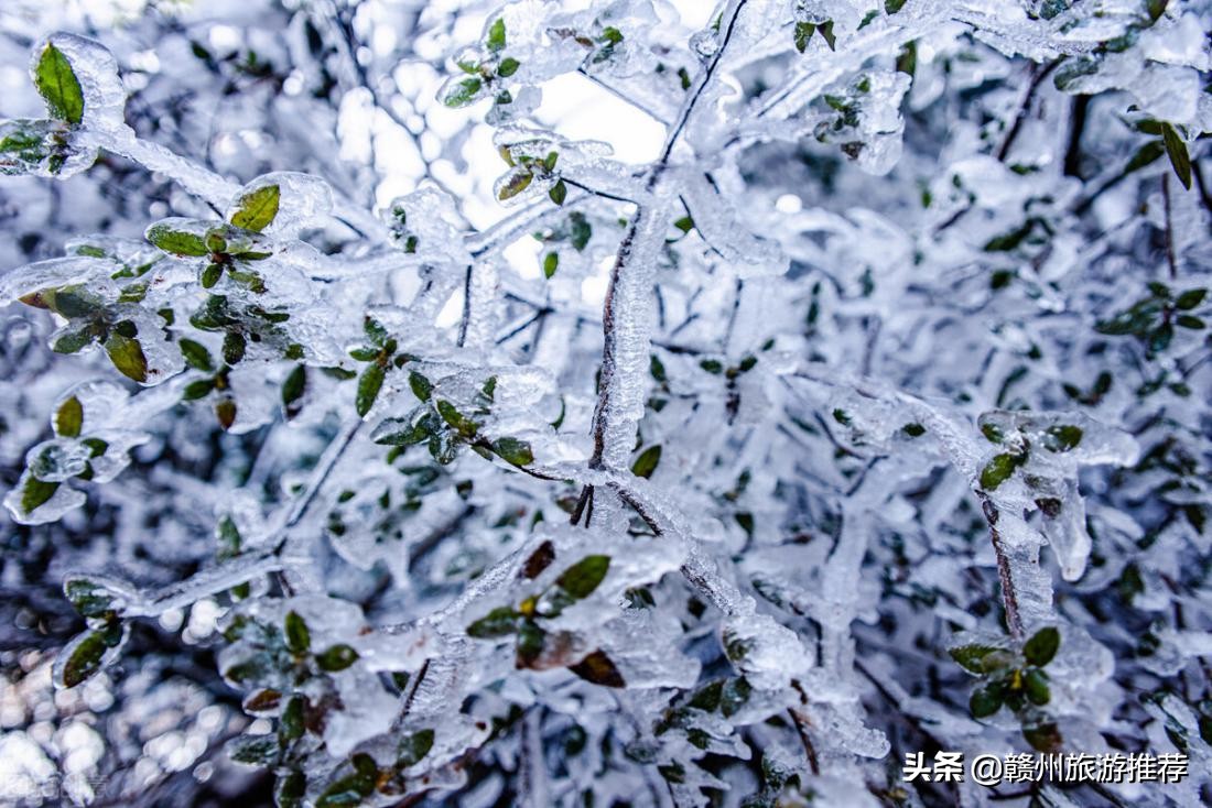 领略赣州市迷人的风景,赣州附近的世外桃源