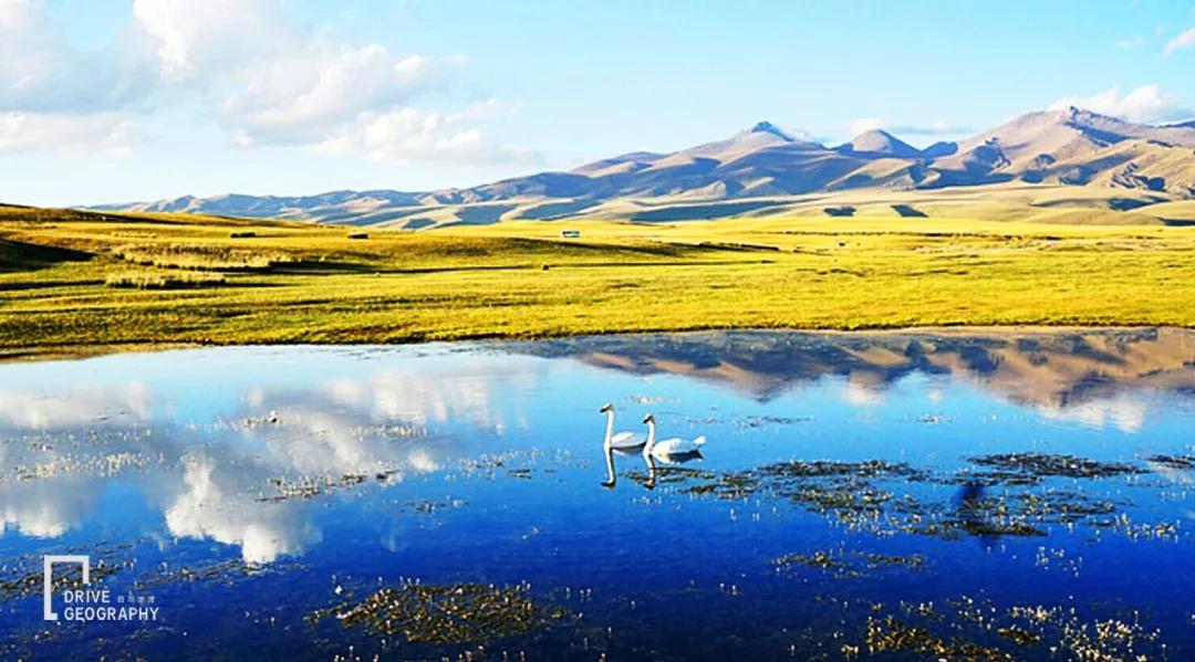 值得走一遭的网红公路,全疆最美的公路