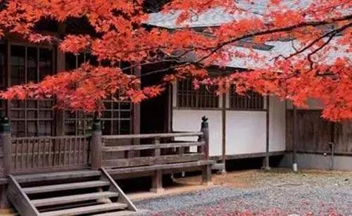 去日本旅行哪条线路好,去日本最划算路线