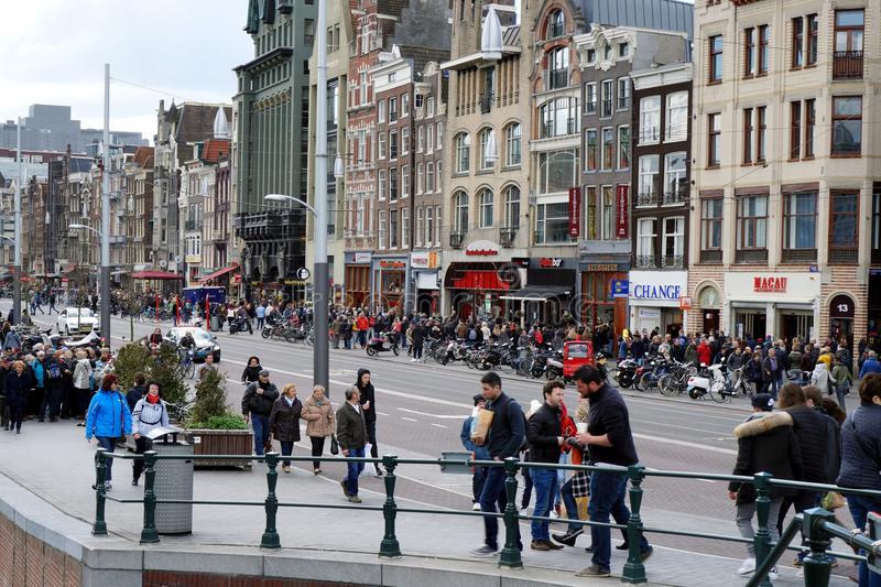 郁金香美丽的荷兰,荷兰的郁金香王国