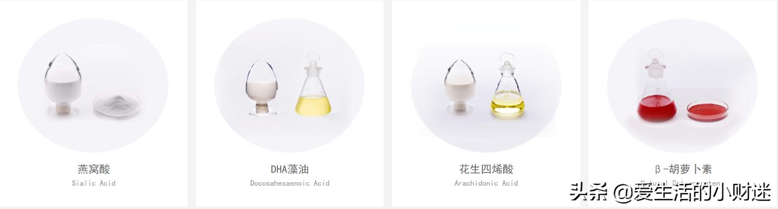 资深投资人郭大磊调研嘉必优（SH.688089）实录