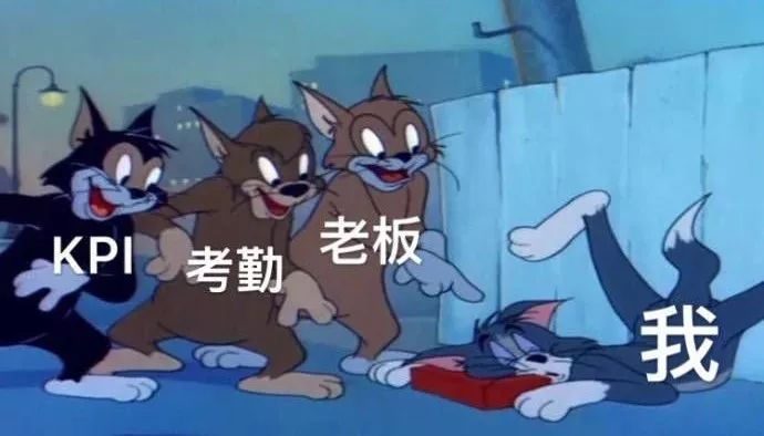 猫和老鼠以前的汤姆和以后的汤姆,猫和老鼠有多少人喜欢汤姆