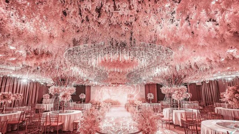 婚礼堂即将开业,全新婚礼堂酒店