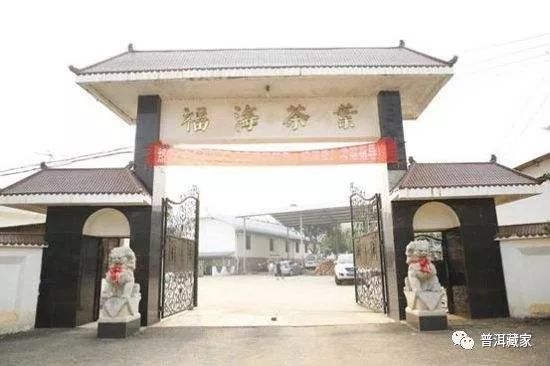 99绿大树易武正山,99绿大树普洱茶