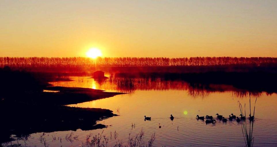 远在他乡漂泊孤独的诗句,写游子漂泊在他乡诗