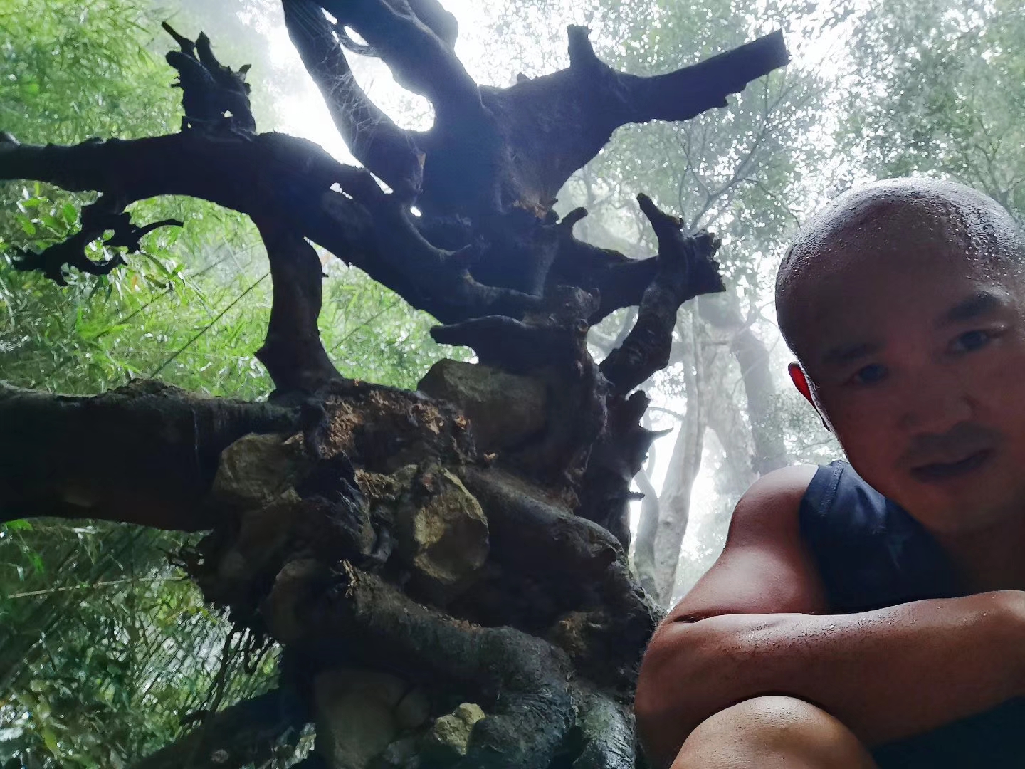 武僧一龙备战视频,武僧一龙播求完整版