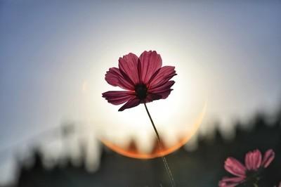 男人一直说他忙女人该怎么做,男人总说忙应对策略