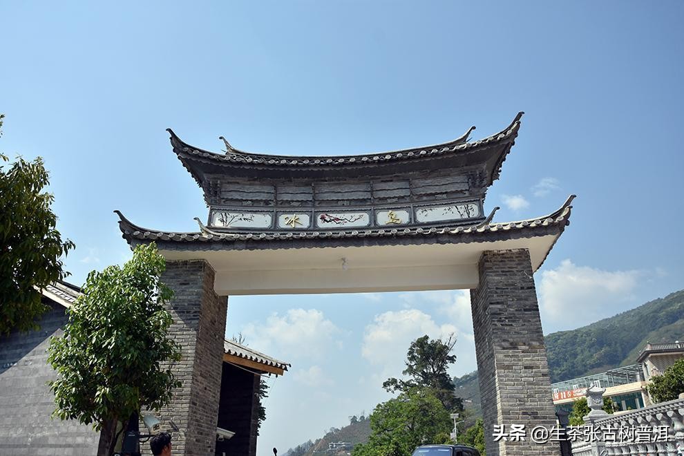 别再喝劣质陈皮,冰岛普洱茶是最好的普洱茶吗