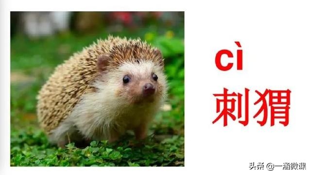 学拼音幼小衔接拼音认读,汉语拼音音节幼小衔接大班