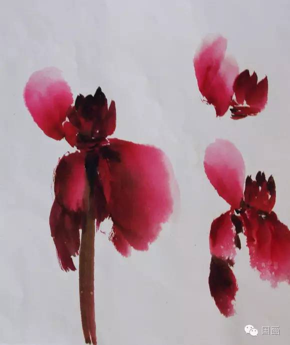 张克申写意牡丹画法教程,邵丹写意牡丹各阶段画法