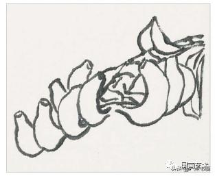 芭蕉叶画法教程,国画芭蕉画法视频