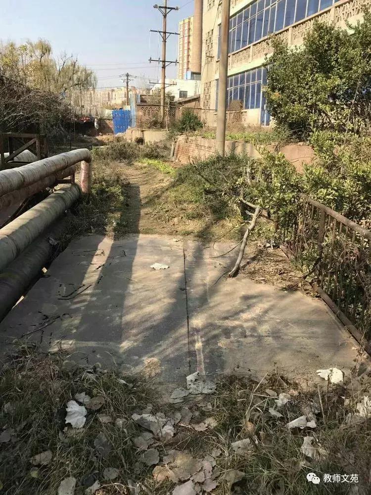 豫西师范前世今生,豫西师范回忆