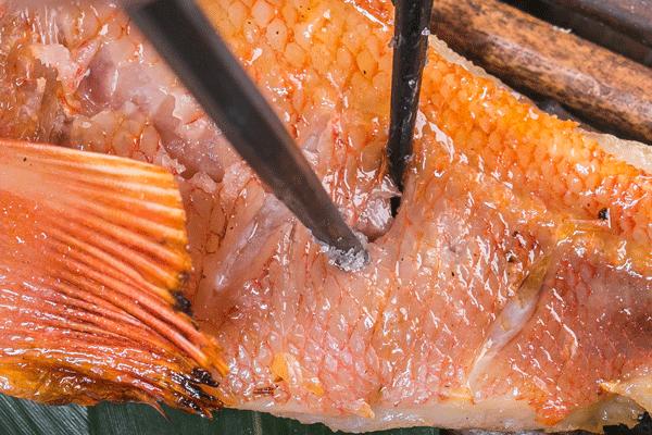 藏在虹口这家超奢「割烹料理」，竟还有米其林一星背景！